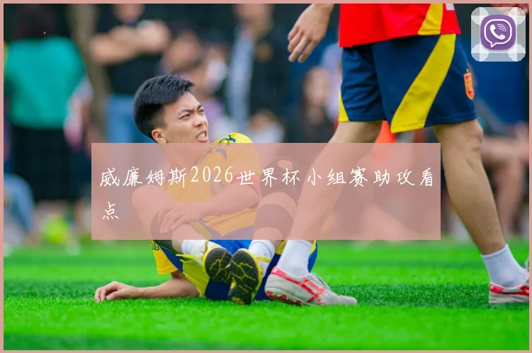 威廉姆斯2026世界杯小组赛助攻看点