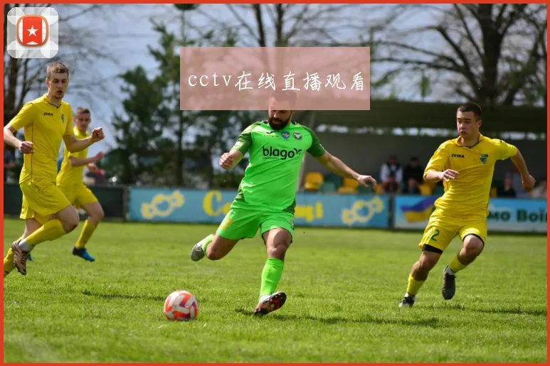 cctv在线直播观看