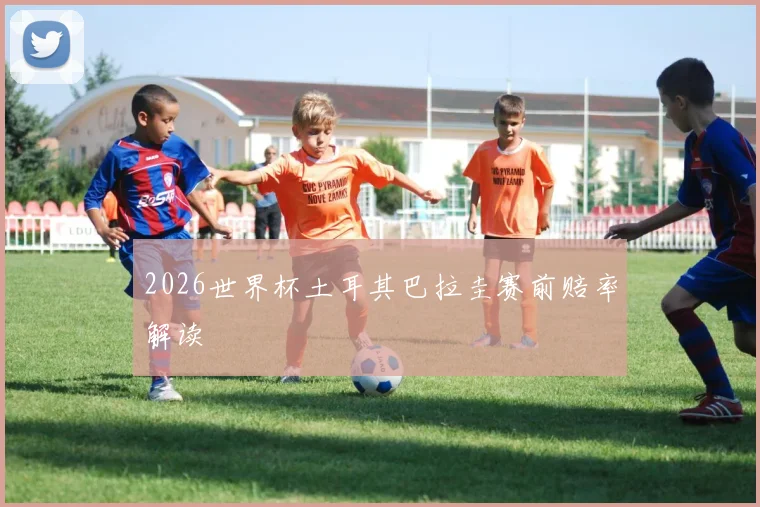 2026世界杯土耳其巴拉圭赛前赔率解读