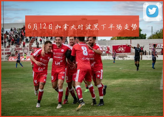 6月12日加拿大对波黑下半场走势
