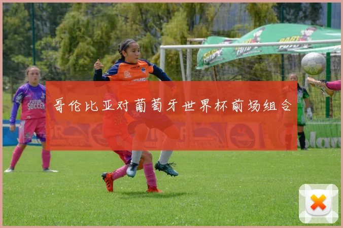 哥伦比亚对葡萄牙世界杯前场组合