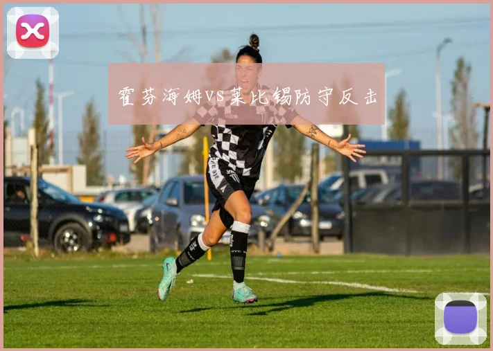 霍芬海姆vs莱比锡防守反击