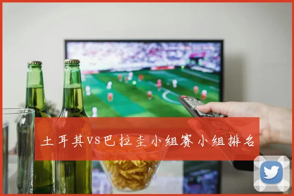 土耳其vs巴拉圭小组赛小组排名